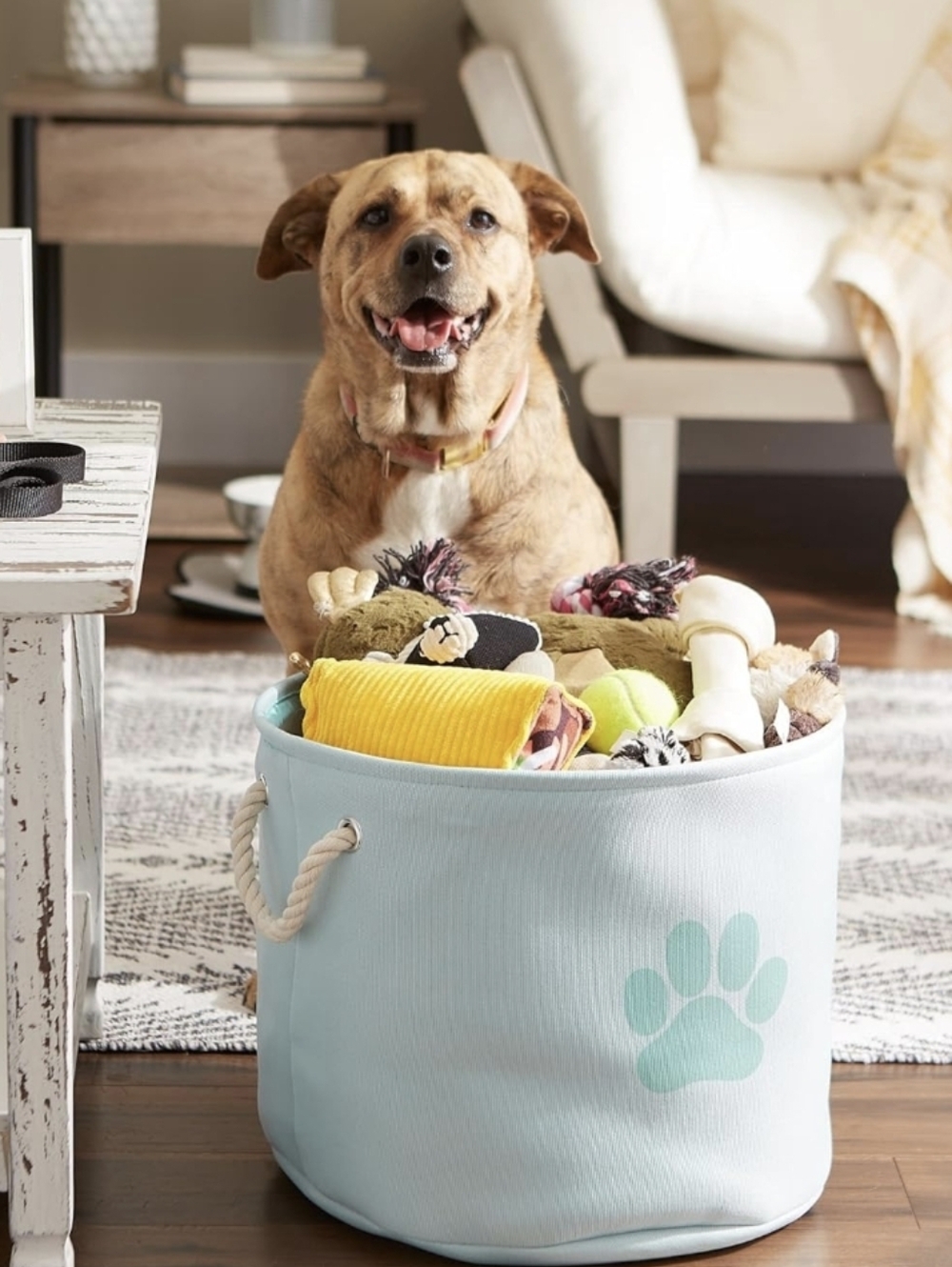 Pet Storage Collapsible Bin NWT